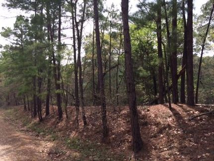 Undeveloped Land for sale in Bastrop County, Texas