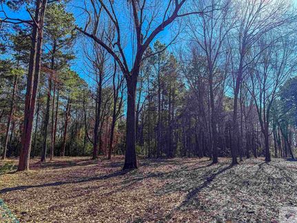 Undeveloped Land for sale in Miller County, Arkansas
