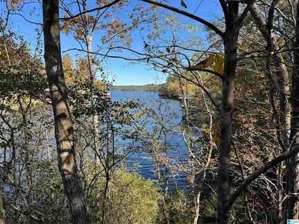 Undeveloped Land for sale in Chilton County, Alabama