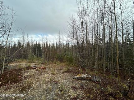 Land for sale in Kenai Peninsula Borough, Alaska