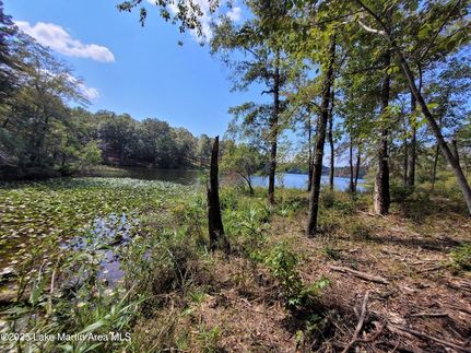 Undeveloped Land for sale in Tallapoosa County, Alabama