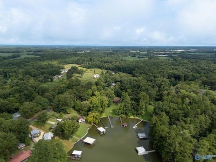 Timberland Property for sale in Lauderdale County, Alabama