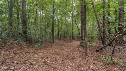 Undeveloped Land for sale in Rankin County, Mississippi