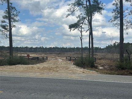 Undeveloped Land for sale in San Jacinto County, Texas