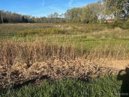 Undeveloped Land for sale in Niagara County, New York