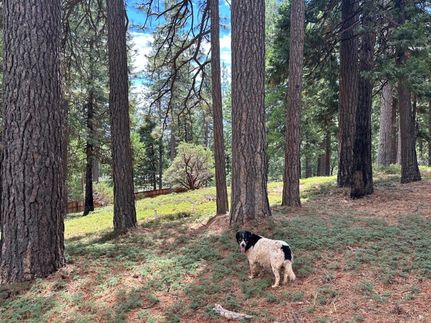 Recreational Property for sale in Amador County, California