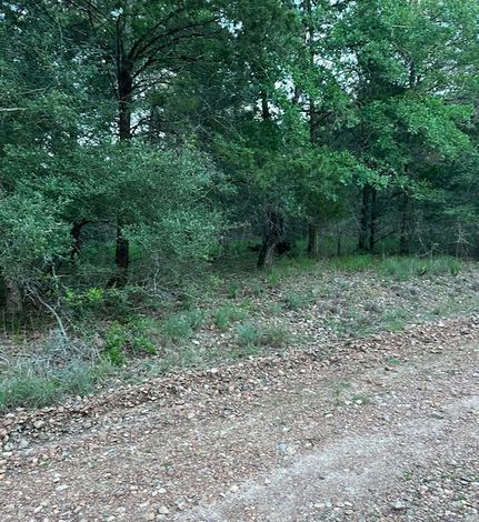 Undeveloped Land for sale in Montgomery County, Texas
