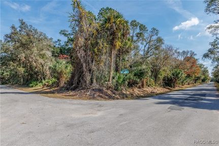 Lakefront Property for sale in Citrus County, Florida