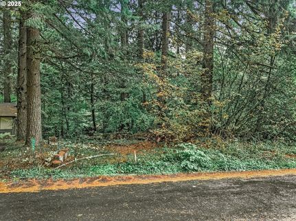 Undeveloped Land for sale in Clackamas County, Oregon