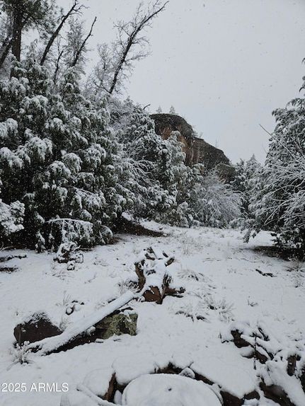 Farm and Ranch for sale in Gila County, Arizona