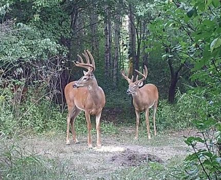 Recreational Property for sale in Benton County, Minnesota