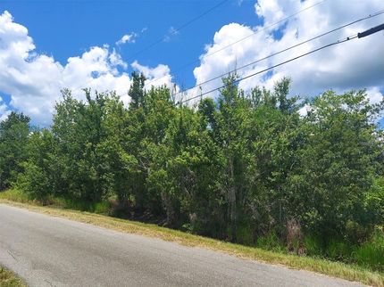 Timberland Property for sale in Hillsborough County, Florida