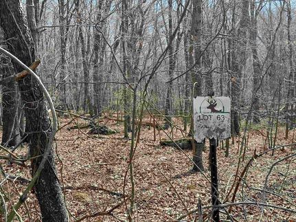 Timberland Property for sale in Montgomery County, Virginia