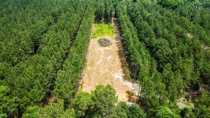 Undeveloped Land for sale in Tyler County, Texas