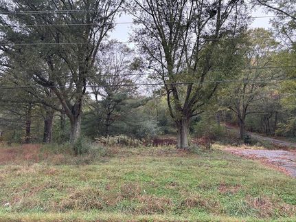 Undeveloped Land for sale in Whitfield County, Georgia