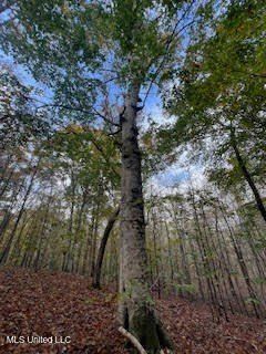 Land for sale in Benton County, Mississippi