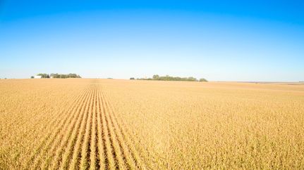 Undeveloped Land for sale in Cherokee County, Iowa