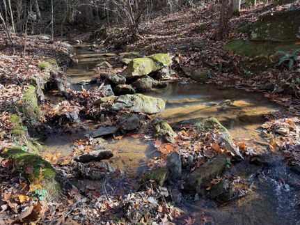 Land for sale in Walton County, Georgia