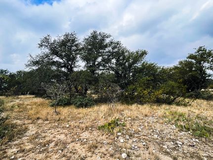 Timberland Property for sale in Schleicher County, Texas