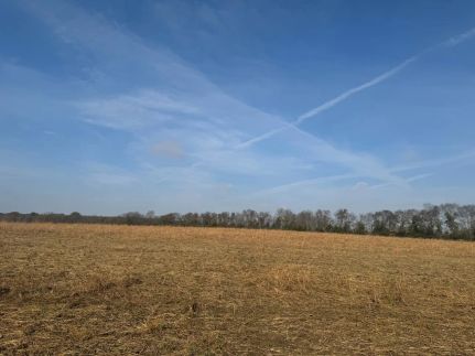 Undeveloped Land for sale in Red River County, Texas