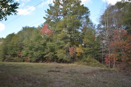 Timberland Property for sale in Jasper County, Texas