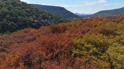 Farm and Ranch for sale in Real County, Texas