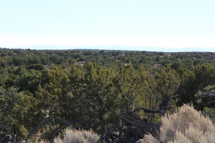 Farm and Ranch for sale in Apache County, Arizona