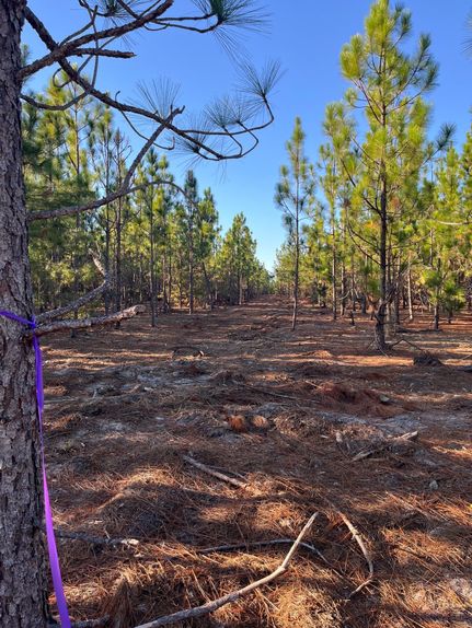 Land for sale in Kershaw County, South Carolina