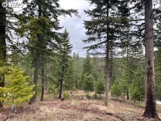 Undeveloped Land for sale in Klickitat County, Washington
