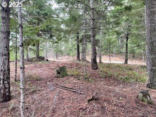 Undeveloped Land for sale in Klickitat County, Washington