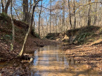 Oceanfront Property for sale in Morgan County, Georgia