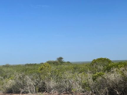 Land for sale in Duval County, Texas