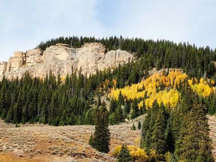 Land for sale in Park County, Wyoming