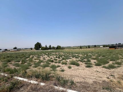 Undeveloped Land for sale in Owyhee County, Idaho