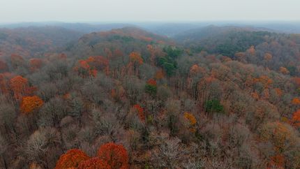 Timberland Property for sale in Washington County, Ohio