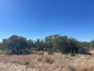 Land for sale in Tom Green County, Texas