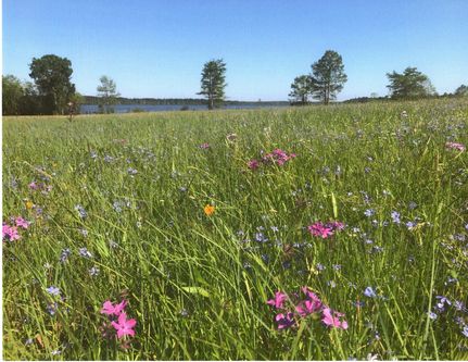 Land for sale in Lafayette County, Arkansas