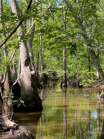 Hunting Property for sale in Emanuel County, Georgia