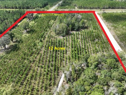 Timberland Property for sale in Ware County, Georgia