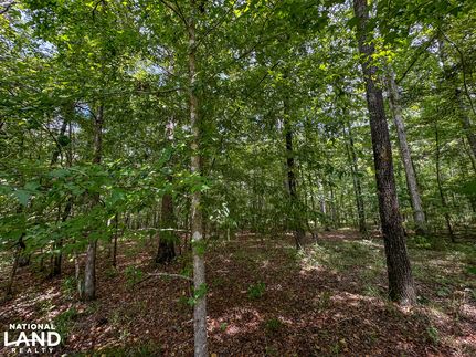 Land for sale in Montgomery County, Alabama