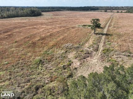 Land in Allen Parish, Louisiana