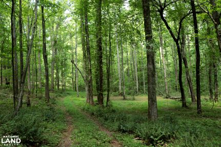 Land for sale in Coosa County, Alabama