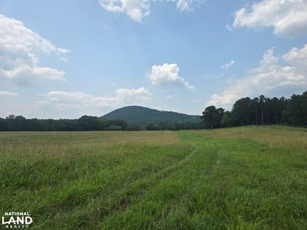 Land for sale in Talladega County, Alabama