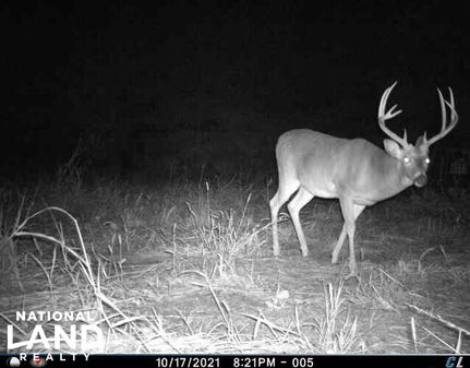 Commercial Property for sale in East Carroll Parish, Louisiana