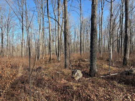 Timberland Property for sale in Forest County, Wisconsin