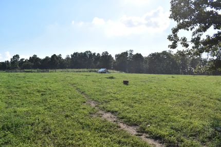 Timberland Property for sale in Texas County, Missouri