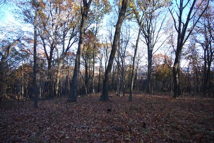 Recreational Property for sale in Hampshire County, West Virginia