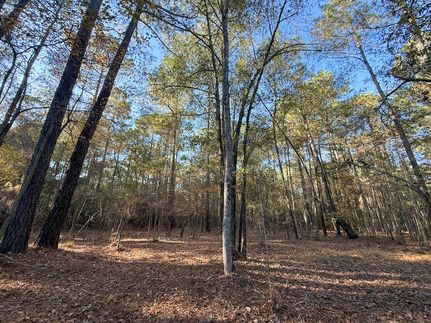 Land for sale in Dillon County, South Carolina