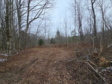 Undeveloped Land for sale in Chenango County, New York