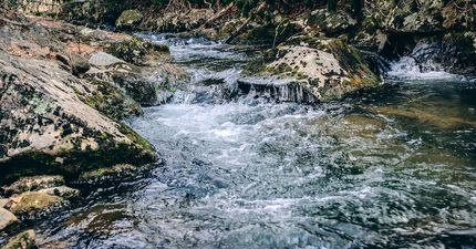 Commercial Property for sale in Roanoke County, Virginia